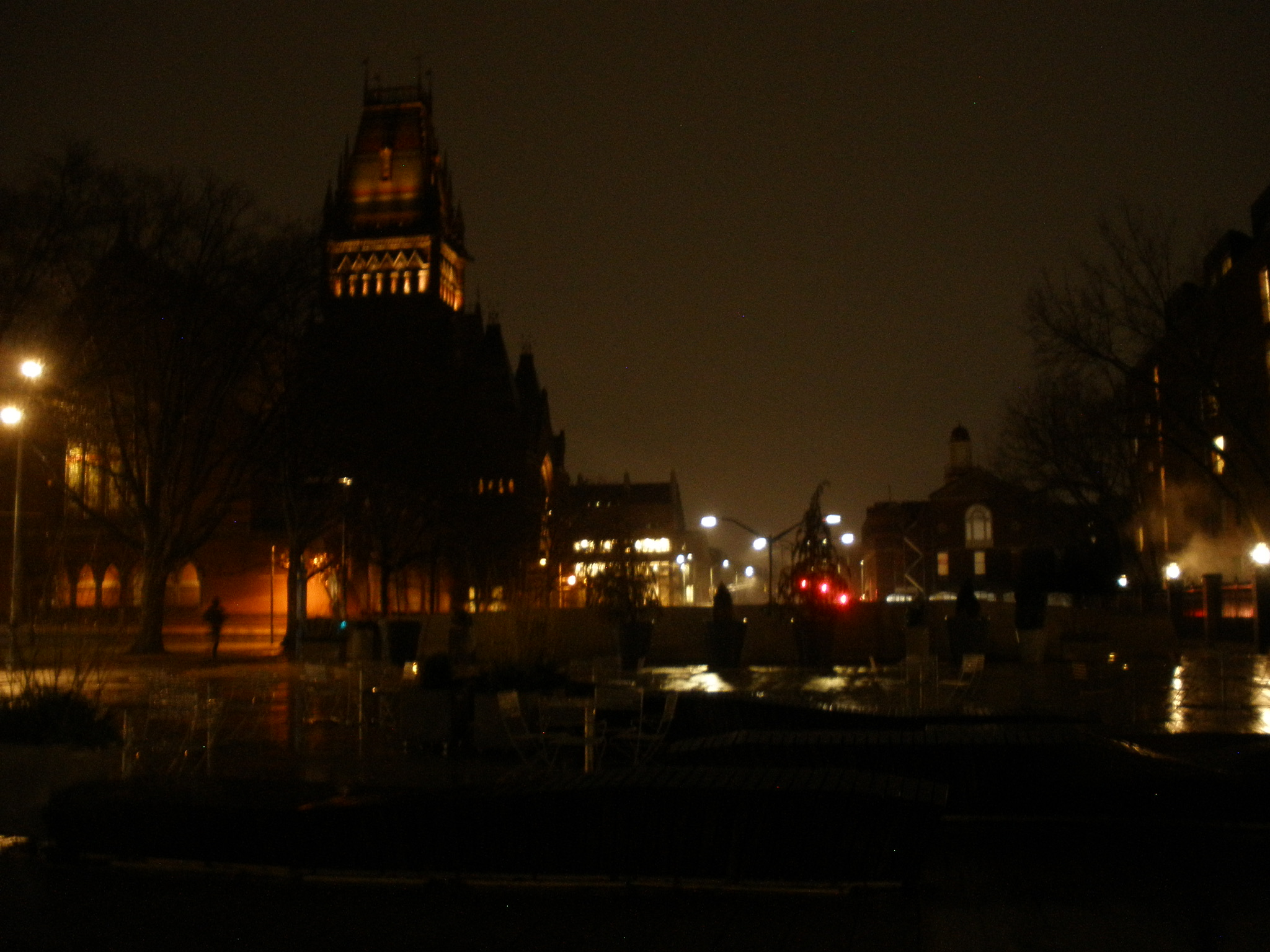 Photo 45