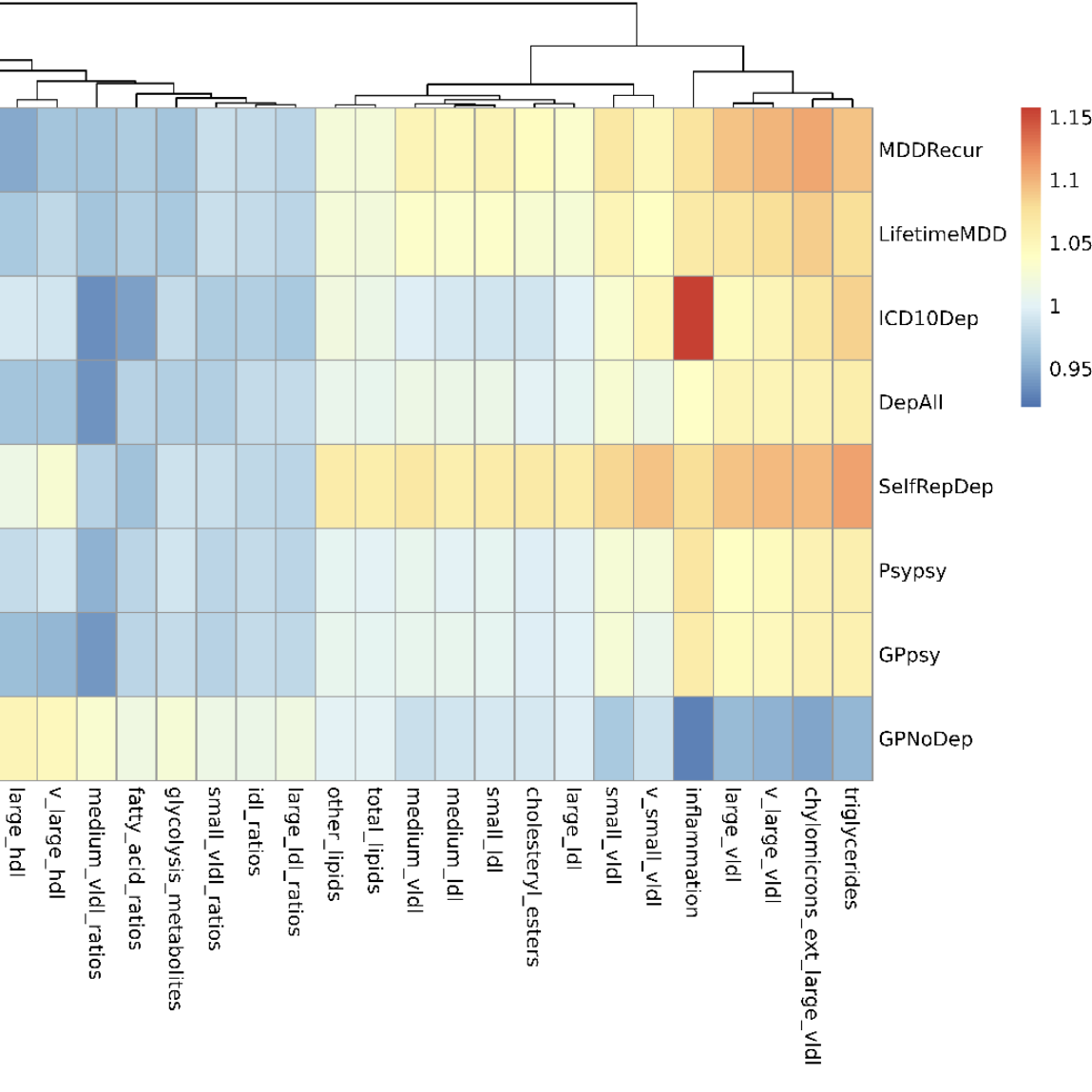 Metabolic Biomarkers of MDD Phenotype Heterogeneity