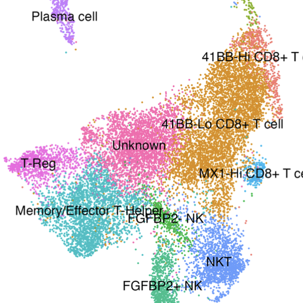 Effect of Immune Checkpoint Blockade on Adaptive Immunity in Renal Cell Carcinoma